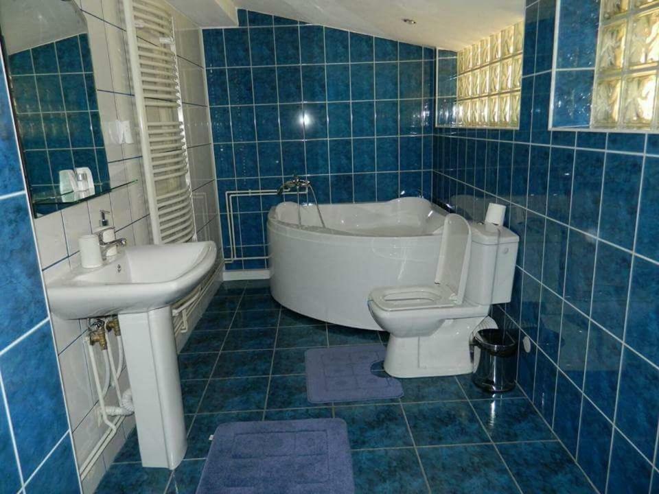 הוילה סינאיה Casa Cristian מראה חיצוני תמונה